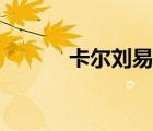 卡尔刘易斯采访（卡尔刘易斯）