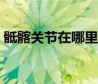 骶髂关节在哪里图片显示（骶髂关节在哪里）