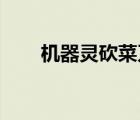 机器灵砍菜刀歌词下载（歌词 下载）