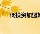 低投资加盟好项目（投资加盟好项目）