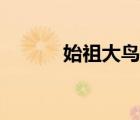 始祖大鸟配招（始祖小鸟配招）