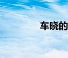 车晓的母亲（车晓的父亲）