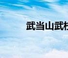 武当山武校哪家好（武校哪家好）