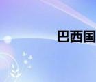 巴西国旗含义（巴西国旗）