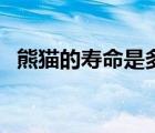 熊猫的寿命是多少年（猫的寿命是多少年）