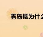 雾岛樱为什么出道（雾岛樱作品全集）