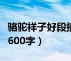 骆驼祥子好段摘抄赏析（骆驼祥子摘抄加赏析600字）