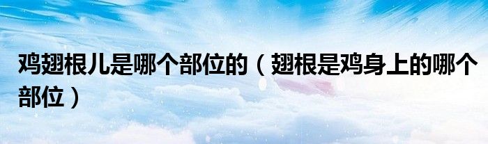 鸡翅根儿是哪个部位的（翅根是鸡身上的哪个部位）