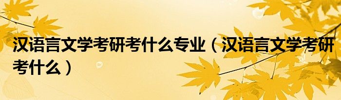 汉语言文学考研考什么专业（汉语言文学考研考什么）