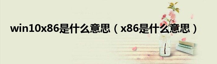 win10x86是什么意思（x86是什么意思）