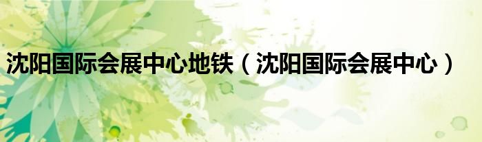 沈阳国际会展中心地铁（沈阳国际会展中心）