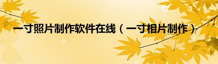 一寸照片制作软件在线（一寸相片制作）