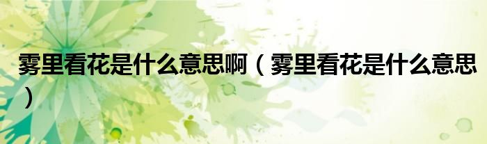 雾里看花是什么意思啊（雾里看花是什么意思）