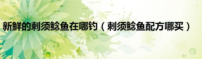 新鲜的刺须鲶鱼在哪钓（刺须鲶鱼配方哪买）
