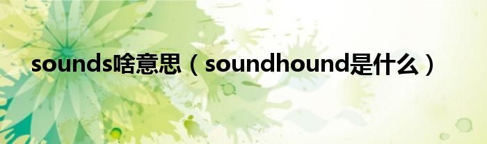 sounds啥意思（soundhound是什么）