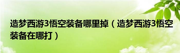 造梦西游3悟空装备哪里掉（造梦西游3悟空装备在哪打）