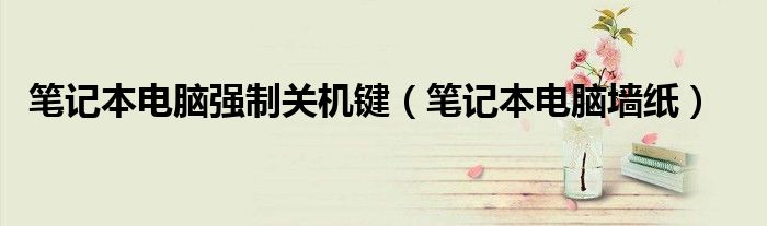 笔记本电脑强制关机键（笔记本电脑墙纸）