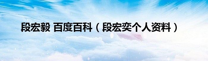 段宏毅 百度百科（段宏奕个人资料）