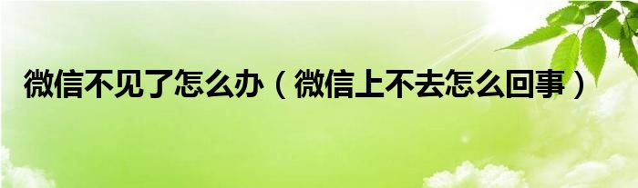 微信不见了怎么办（微信上不去怎么回事）