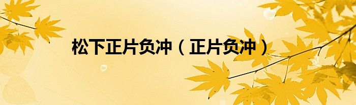 松下正片负冲（正片负冲）