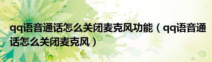 qq语音通话怎么关闭麦克风功能（qq语音通话怎么关闭麦克风）