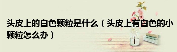 头皮上的白色颗粒是什么（头皮上有白色的小颗粒怎么办）