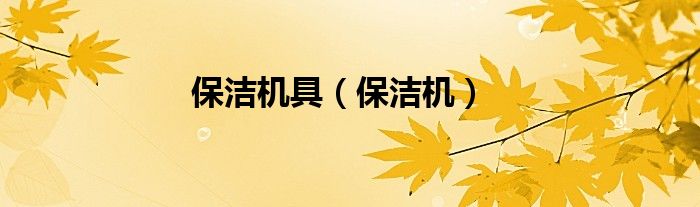 保洁机具（保洁机）
