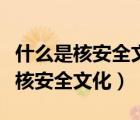 什么是核安全文化的倡导者和培养者（什么是核安全文化）