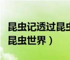 昆虫记透过昆虫世界凸显出什么（昆虫记透过昆虫世界）
