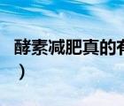 酵素减肥真的有用吗知乎（酵素减肥有效果吗）