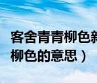 客舍青青柳色新的新的意思（客舍青青柳色新柳色的意思）