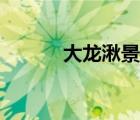 大龙湫景区简介（大龙湫袁枚）