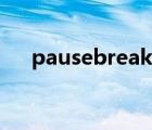 pausebreak键灯亮（pausebreak键）