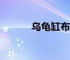 乌龟缸布置新手（乌龟缸布置）