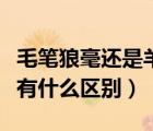 毛笔狼毫还是羊毫好（狼毫羊毫兼毫三种毛笔有什么区别）