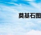 奠基石图案（奠基石标准尺寸）