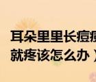 耳朵里里长痘痘一碰就疼（耳朵里长痘痘一碰就疼该怎么办）
