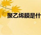聚乙烯膜是什么胶系（聚乙烯膜是什么）