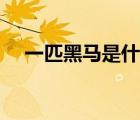 一匹黑马是什么意思（黑马是什么意思）