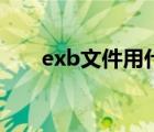 exb文件用什么软件打开（exb文件）