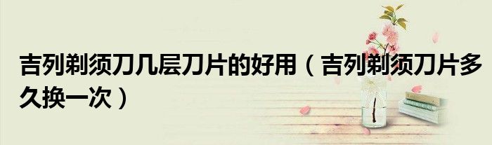 吉列剃须刀几层刀片的好用（吉列剃须刀片多久换一次）