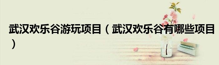 武汉欢乐谷游玩项目（武汉欢乐谷有哪些项目）