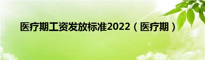 医疗期工资发放标准2022（医疗期）