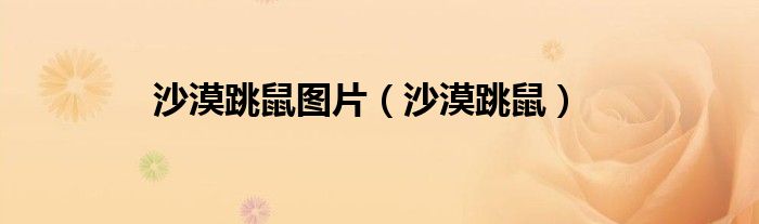 沙漠跳鼠图片（沙漠跳鼠）