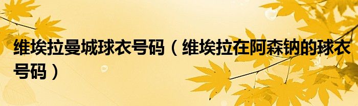 维埃拉曼城球衣号码（维埃拉在阿森钠的球衣号码）