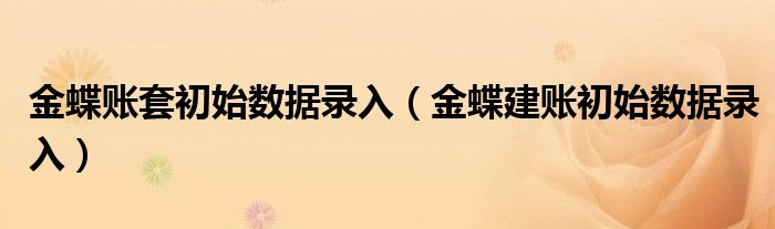 金蝶账套初始数据录入（金蝶建账初始数据录入）