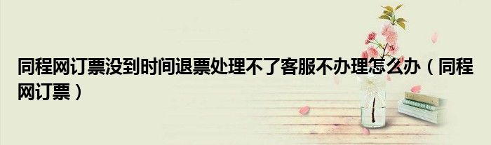 同程网订票没到时间退票处理不了客服不办理怎么办（同程网订票）