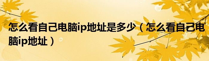 怎么看自己电脑ip地址是多少（怎么看自己电脑ip地址）