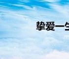 挚爱一生的句子（挚爱一生）