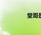 堂哥是什么关系（堂哥）